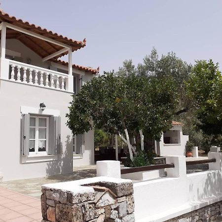 Villa Tillia Panormos  Exteriör bild