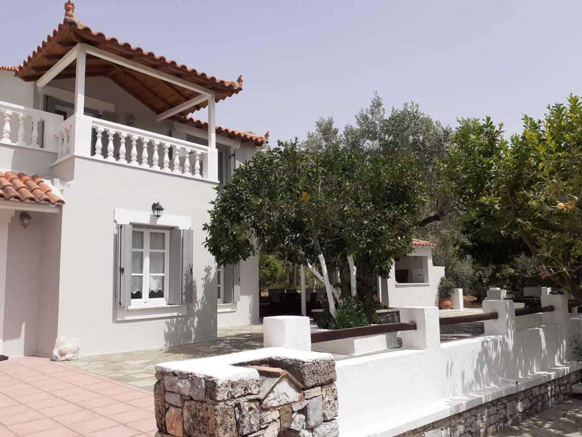 Villa Tillia Panormos  Exteriör bild