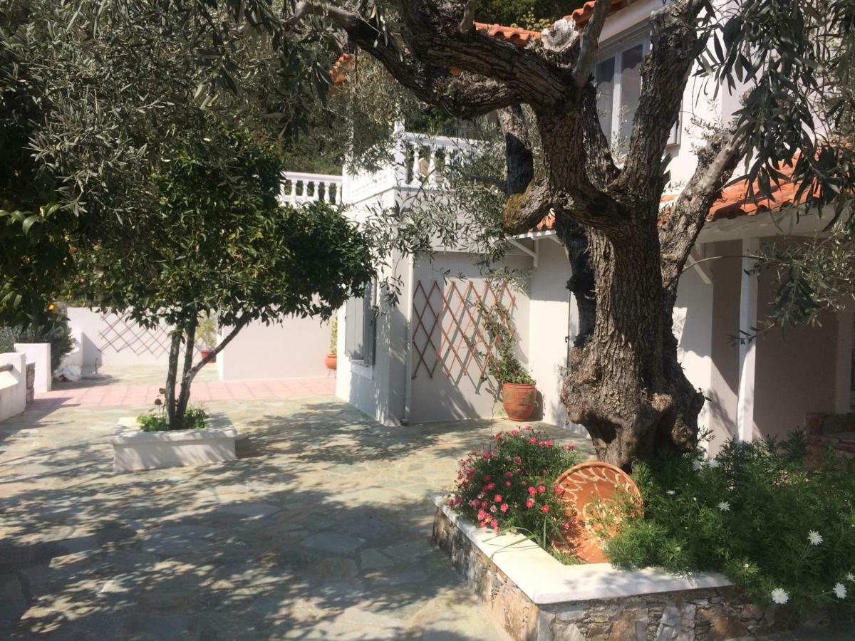 Villa Tillia Panormos  Exteriör bild